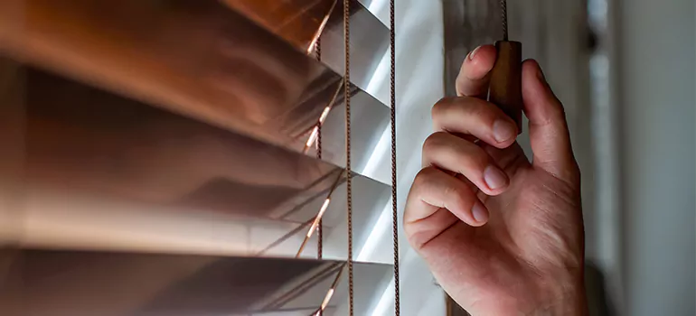 Double Roller Blinds in Hayward, CA