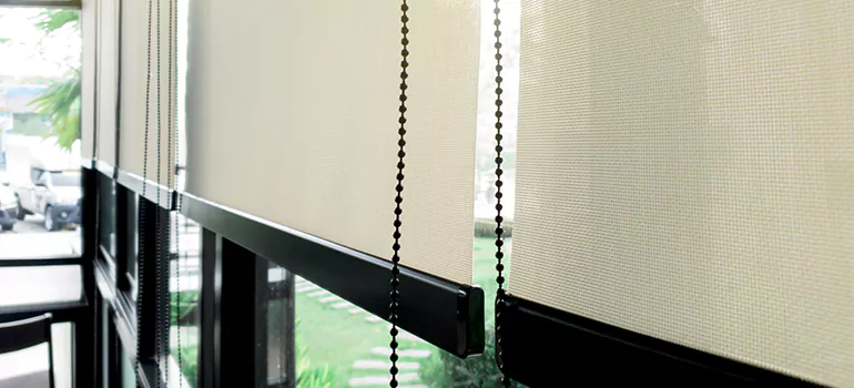 Blackout Window Shades in Hayward, CA