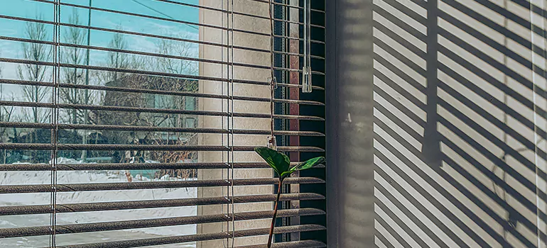 Commercial Window Blinds in Hayward, CA