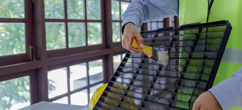Traditional Window Grille Installation Options in Hayward, CA