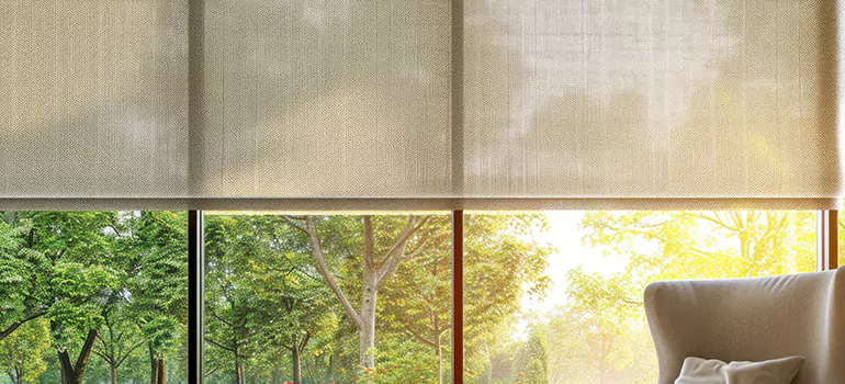Custom Window Shades in Hayward, CA
