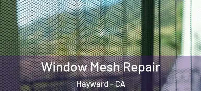  Window Mesh Repair Hayward - CA