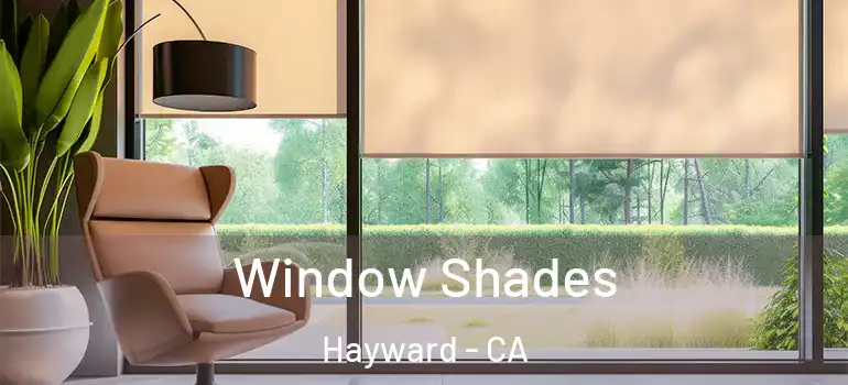  Window Shades Hayward - CA